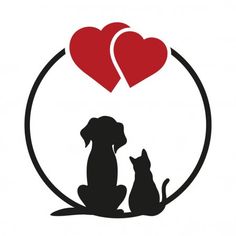 a dog and cat sitting in front of a red heart