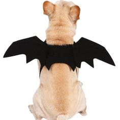 a dog wearing a bat costume sitting on its back legs and looking up at the sky