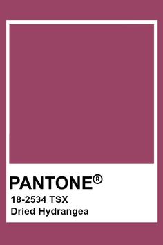 pantone's color is shown with the name and symbol for this item in white