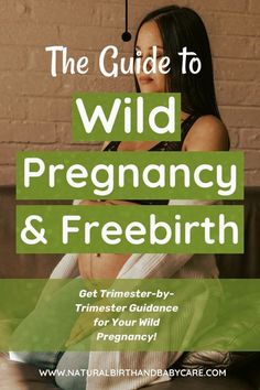 the guide to wild pregnant and free birth with text overlay that reads, the ultimate beginner's guide to pregancy & free birth