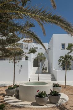 a white house with palm trees in the foreground and stairs leading up to it