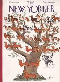 the new yorker magazine cover with an illustration of dogs on it's tree