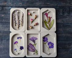 six trays with different types of flowers in them