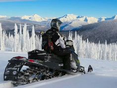 a man riding on the back of a snow mobile