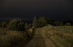 a dirt road in the middle of a grassy field under a dark sky with storm clouds