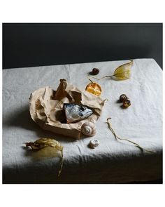 an empty paper bag sitting on top of a table covered in shells and seaweed