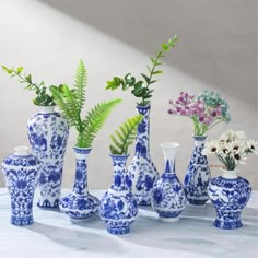 several blue and white vases with plants in them on a tableclothed surface