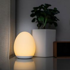 an egg shaped light sitting on top of a table next to a potted plant