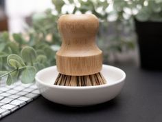 a wooden brush sitting on top of a white bowl next to a potted plant