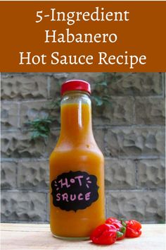 hot sauce in a glass bottle with peppers on the side and text overlay reading 5 ingredient habanero hot sauce recipe