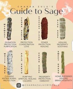 the guide to sage for beginners is shown in this graphic above it's description