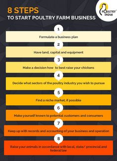 the 8 steps to start poultry farm business