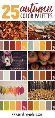 the 25 autumn color palettes