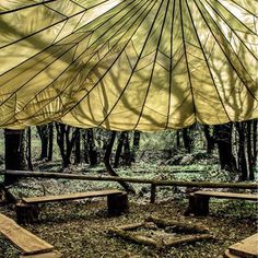 an open umbrella sitting in the middle of a forest filled with benches and tables under it