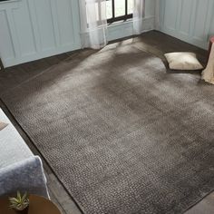 a living room with a large rug on the floor next to a couch and window