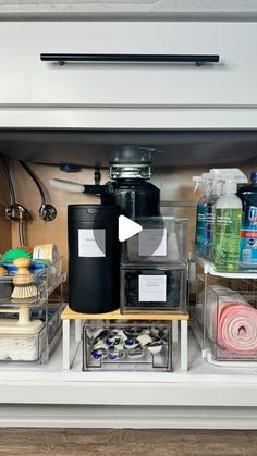 the inside of a kitchen cabinet filled with cleaning products and other household care items in containers