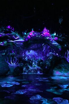 an artificial pond in the dark with water lilies and plants growing on it's sides