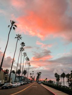 palm trees line the street in front of a pink and blue sky with clouds above