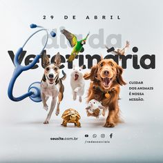 two dogs and three cats in front of an advertisement for veterinaria, with the caption'29 de abril