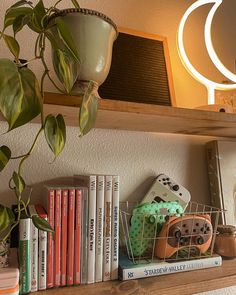 a shelf with books, plants and video game controllers