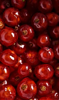 red cherries with gold flecks are shown in this close up photo,