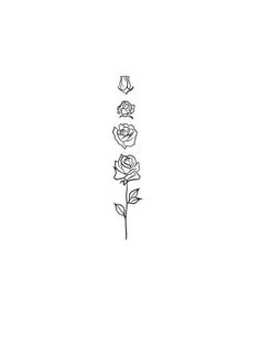 a line drawing of three roses on a white background