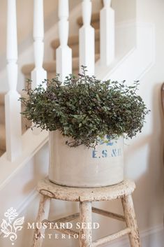 a potted plant sitting on top of a wooden stool next to a stair case