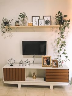 a living room with plants and pictures on the wall, including a flat screen tv