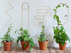 four potted plants sitting on top of a wooden table in front of a white wall