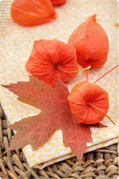 three orange leaves on a yellow and white napkin next to an orange maple leaf in a wicker basket