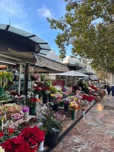 many flowers are on display at the flower shop