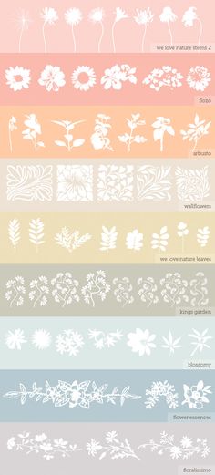 the different types of flowers and leaves in each color scheme, including blue, pink, yellow