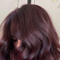 Brunette Purple Undertones, Light Brown Plum Hair, Dark Cherry Brown Hair Short, Deep Berry Hair Color, Reddish Purple Brown Hair, Purple Light Brown Hair, Hair Colours For Dark Hair, Light Purple Brown Hair, Types Of Highlights For Hair Brunettes