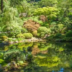 a pond surrounded by lush green trees and rocks