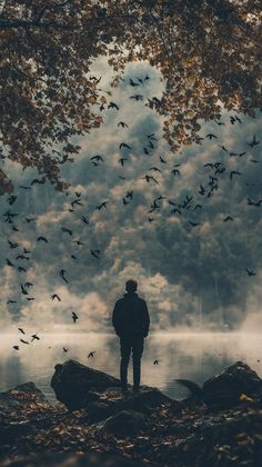 a man standing on top of a rock next to a forest filled with trees and birds