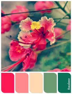 the color palette is red, yellow and green with some pink flowers in it's center