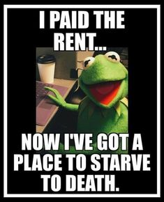 Kermit Funny, Good Morning Funny, Funny Quotes Sarcasm, Funny Jokes For Adults, Best Pics, Funny As Hell