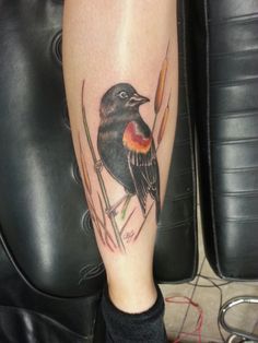 a black bird sitting on top of a plant next to a person's leg