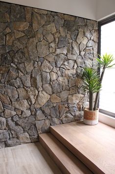 a potted plant sitting on top of a wooden step next to a stone wall