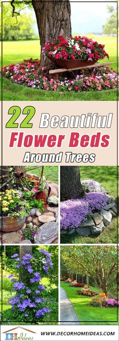 the different types of flower beds around trees