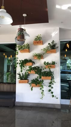 a white wall with plants growing on it and lights hanging from the ceiling above them