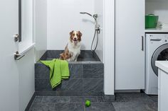 a dog is sitting on the step of a washer and dryer in a bathroom