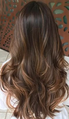 57+ Must-Try Brown Hair with Caramel Highlights for a Sun-Kissed Glow Up Brown Hair With Caramel Highlights, Hairstyles For Layered Hair, Caramel Highlights