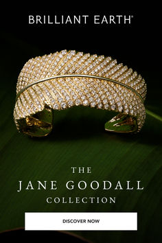 the jane goodall collection is featured in this brochure for bridalt earth