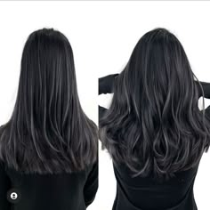 Grey Brown Highlights On Dark Hair, Ash Highlights For Black Hair, Dark And Ashy Hair, Deminsional Black Hair, Grey Hair With Black Low Lights, Black With Low Lights Hair, Dimension In Dark Hair, Black Onyx Hair Color, Ashy Babylights On Black Hair