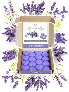 lavender scented melts in a box on a white background