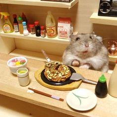 a hamster sitting on top of a counter next to food and condiments