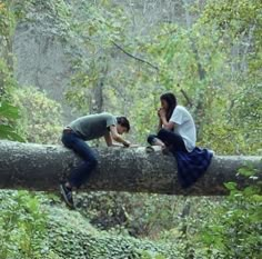 two people sitting on a fallen tree in the woods