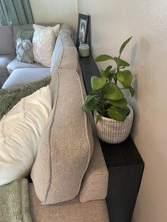 a living room with a couch and a plant on the end table in front of it