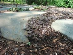 there is a stone path in the middle of some leaves and mulch on the ground